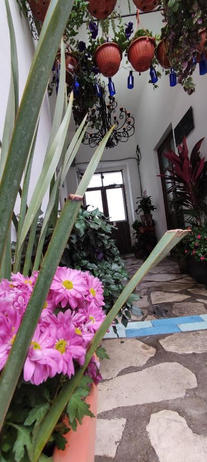 El Jardín de la Abuela Hotel Querétaro Exterior foto